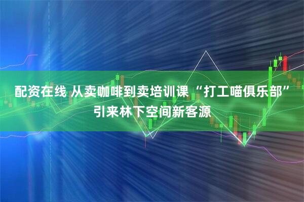 配资在线 从卖咖啡到卖培训课 “打工喵俱乐部”引来林下空间新客源